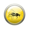 user avatar image for WaspsNests