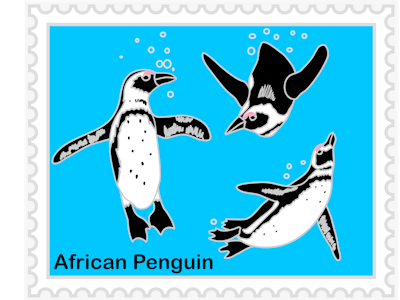 African Penguins vinyl sticker