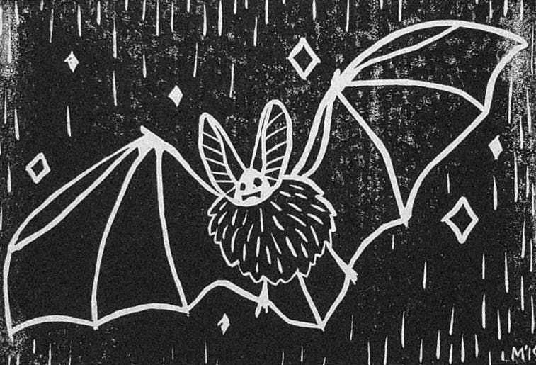 user avatar image for Anonymous Bluejay #1721540