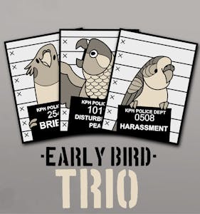 EARLY BIRD TRIO