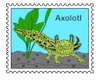 Enigma Axolotl