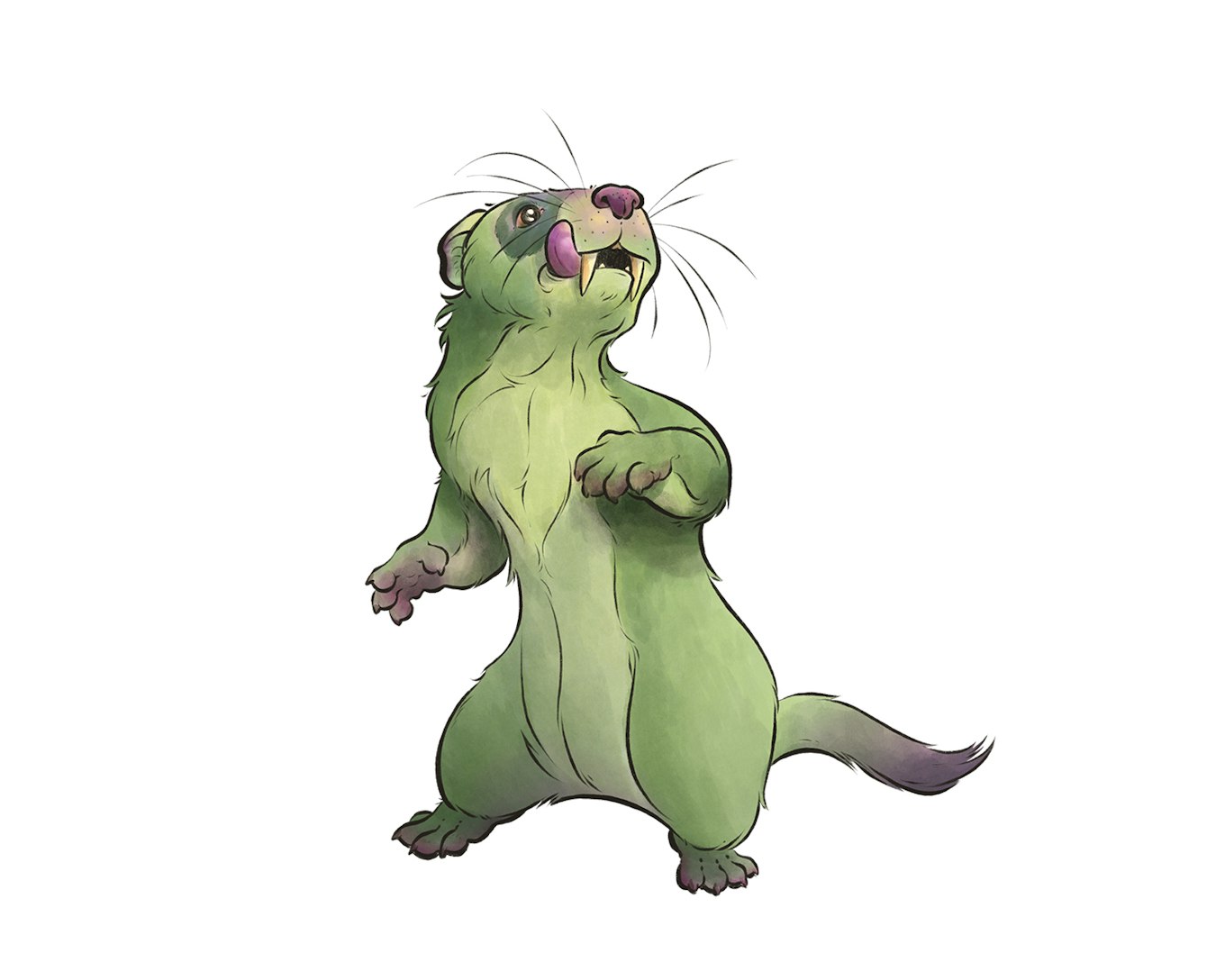  A green fanged ferret