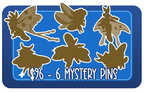 6 Mystery Pins