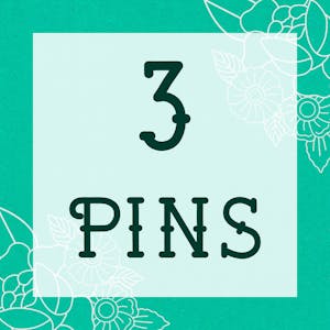 3 Pins
