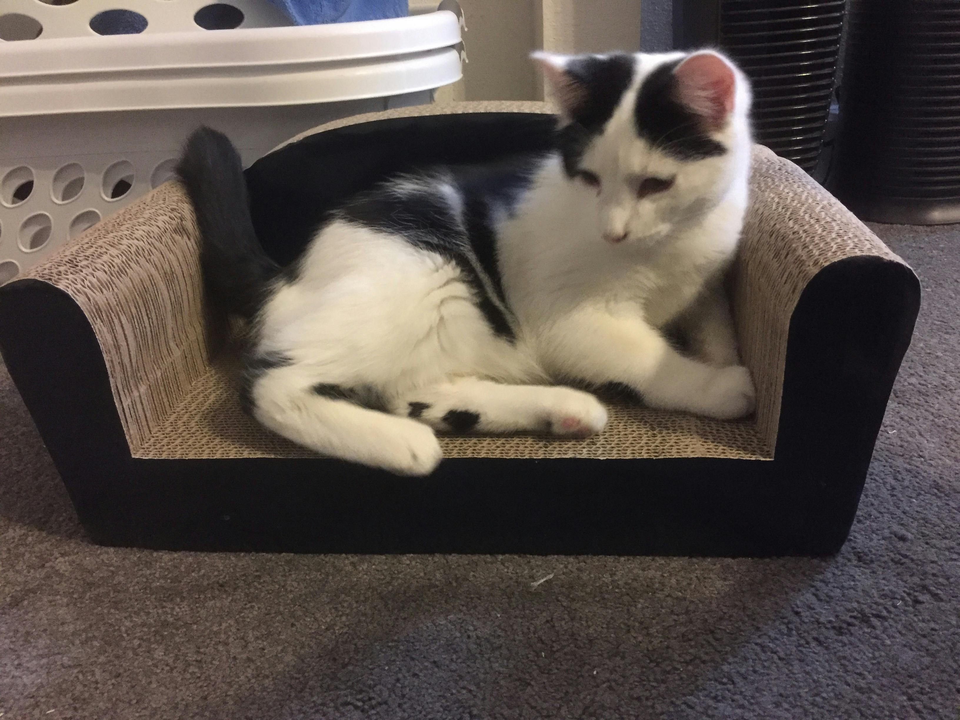 user avatar image for Rdale