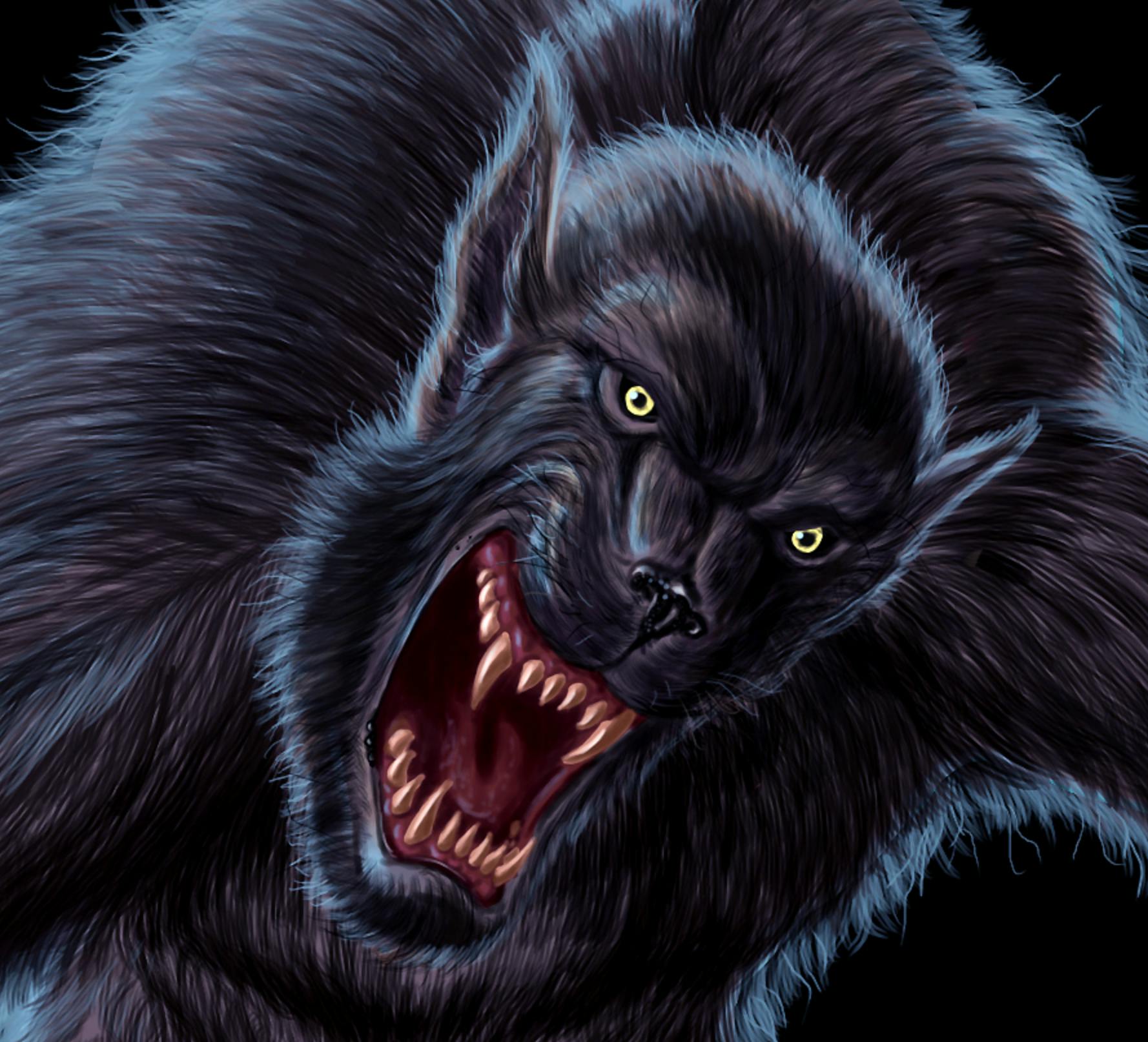 user avatar image for David W Fisher