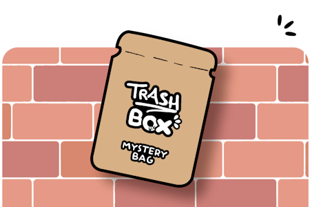 1 Trash Box Pin MYSTERY BAG 🦝📦