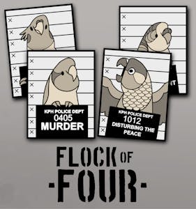 FLOCK OF FOUR
