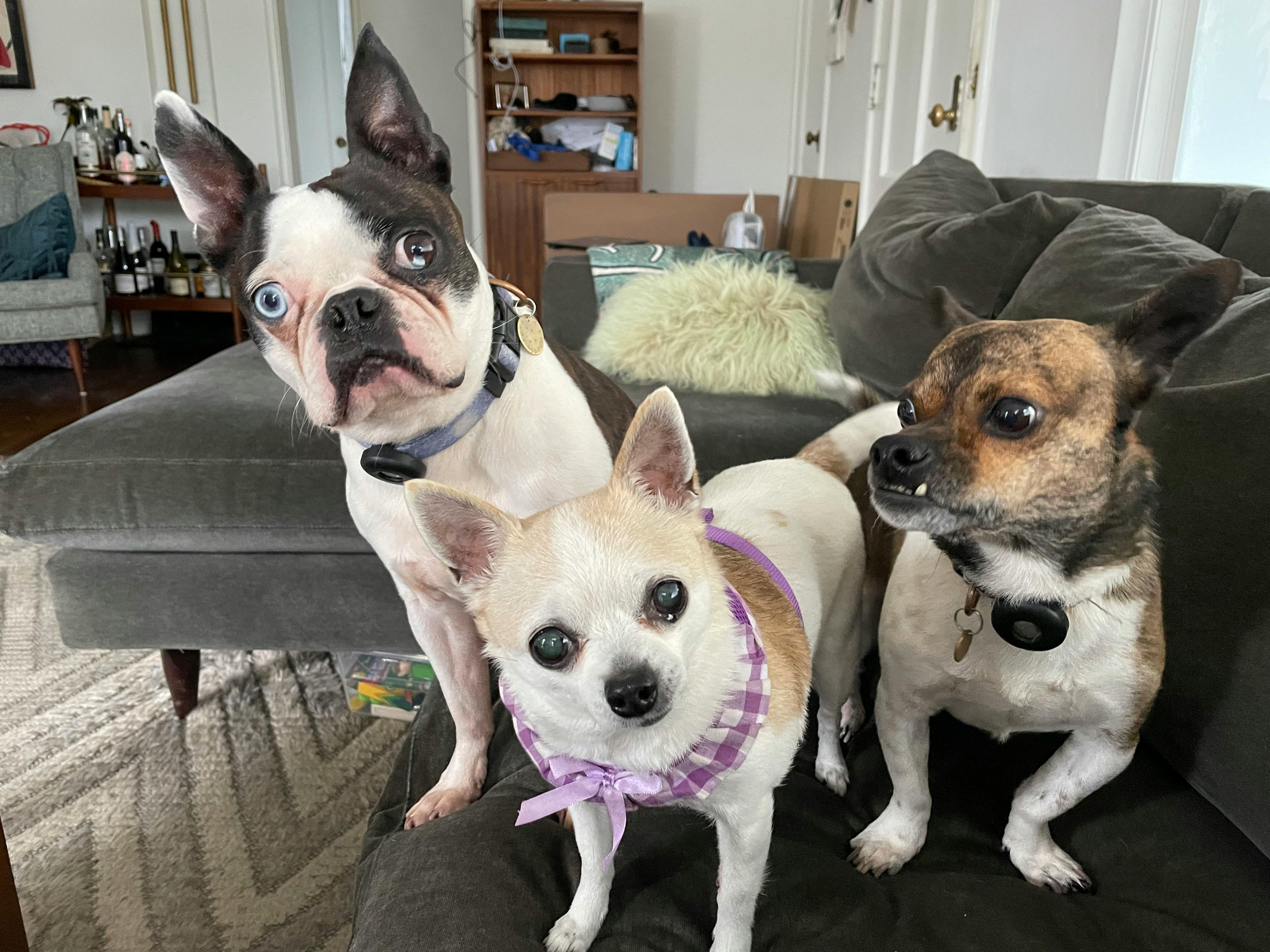 user avatar image for Justine Heritage