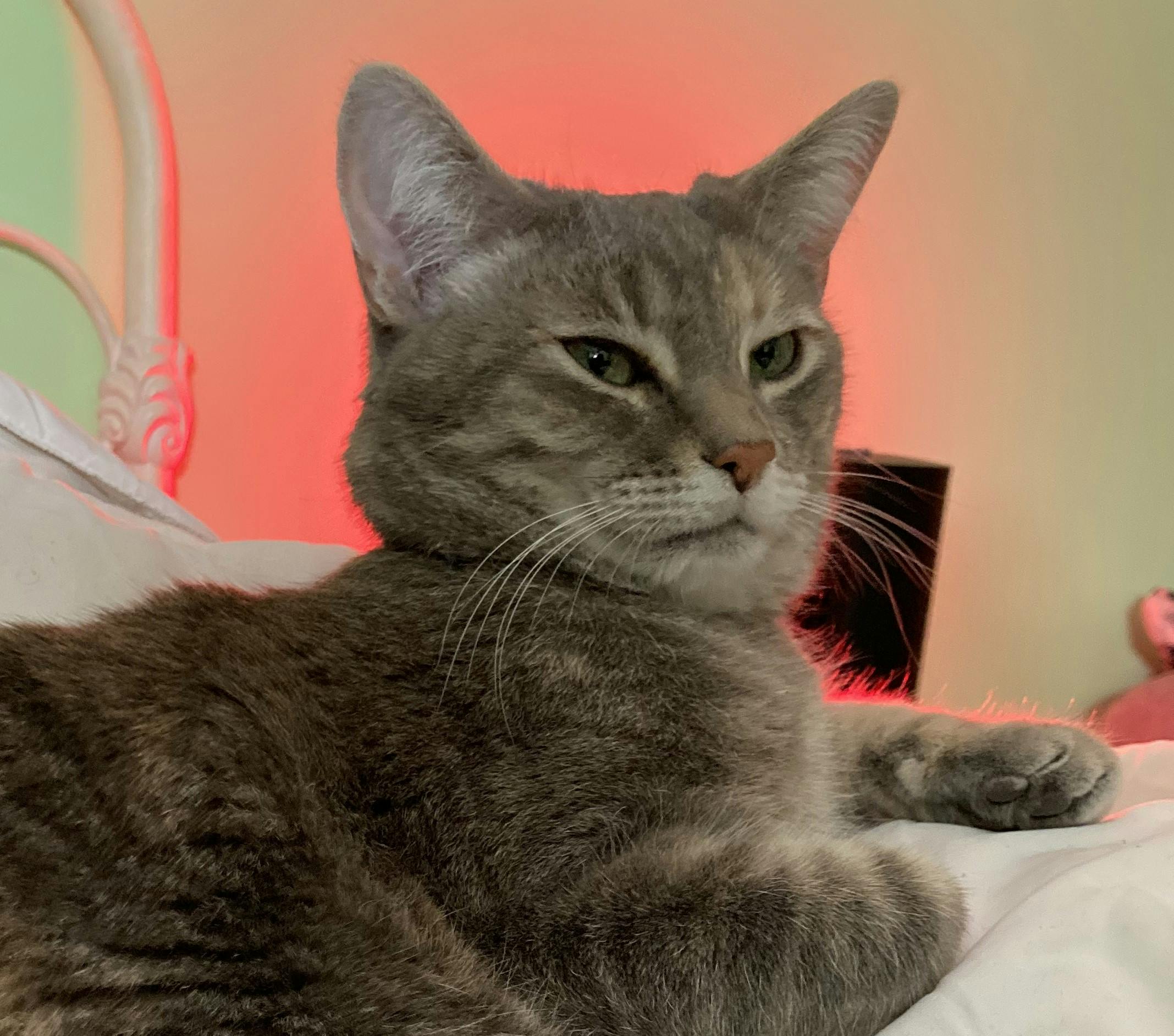 user avatar image for Jupiter