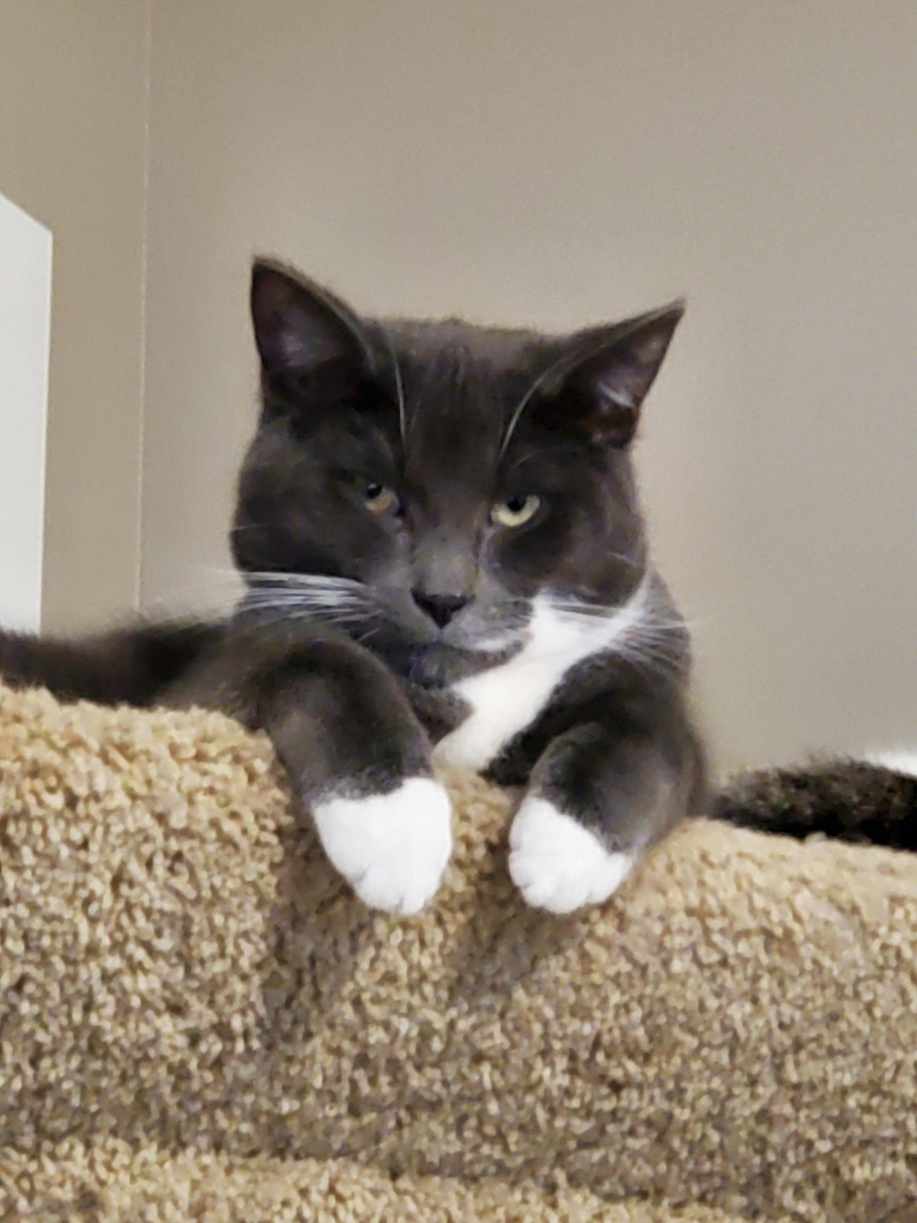 user avatar image for Pro Hunting Accidents