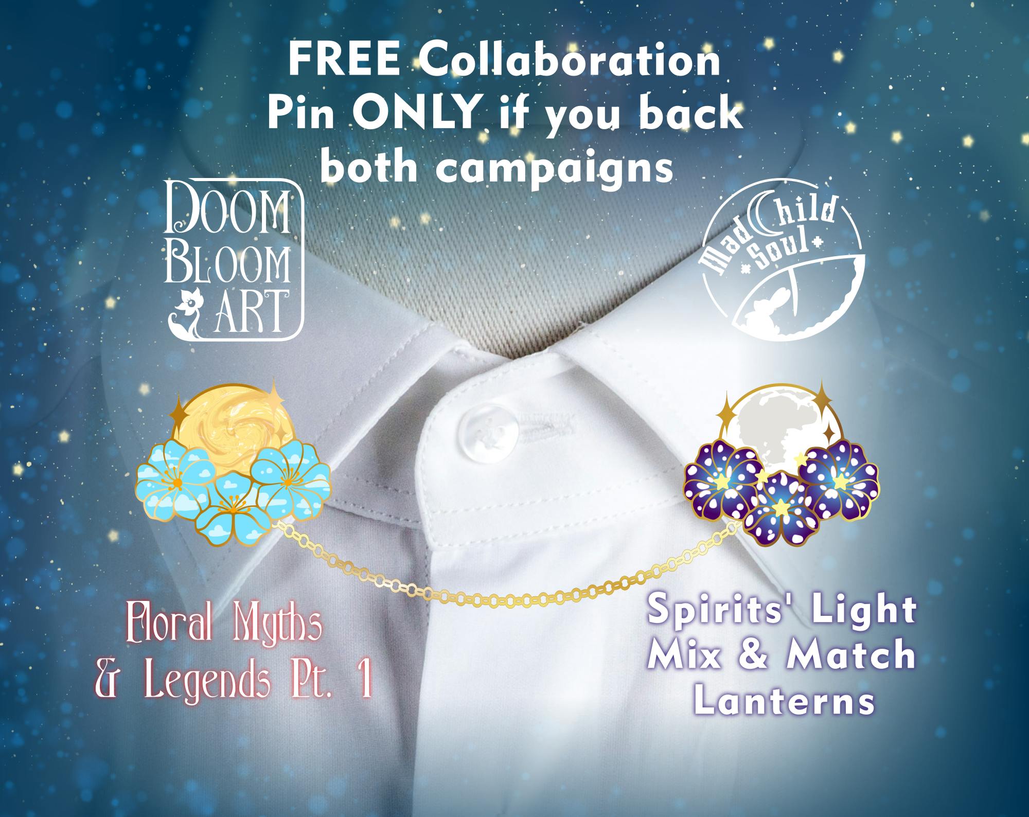 BOTH campaigns funded!