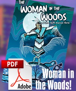 The Woman in the Woods, and Other North American Stories: eBook Edition!