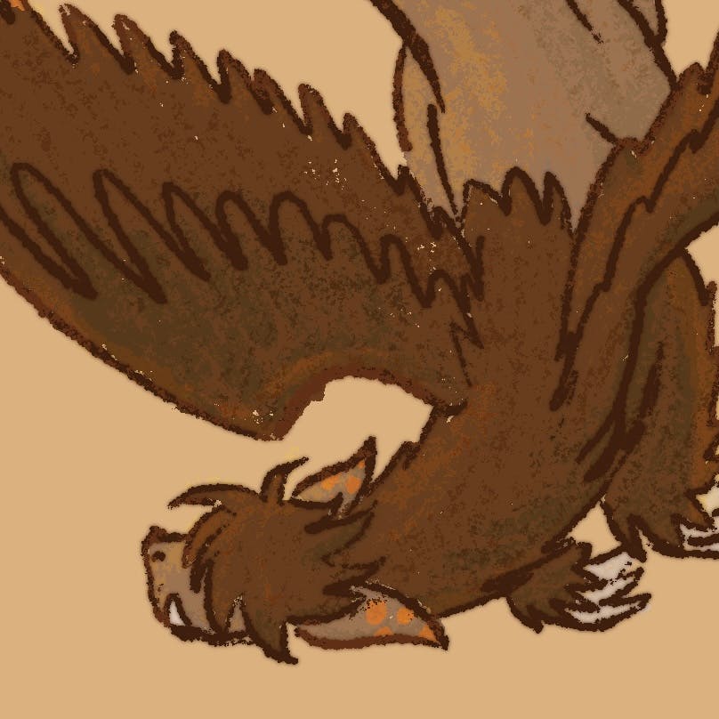 user avatar image for Amanda LeBrun