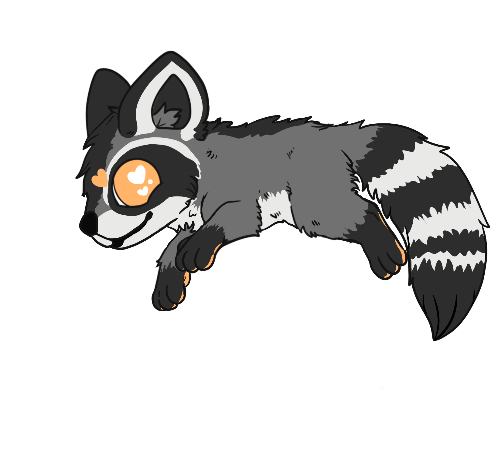 Radiant Raccoon