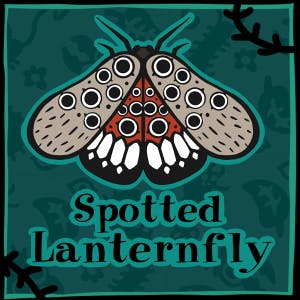 Spotted Lanternfly Enamel Pin