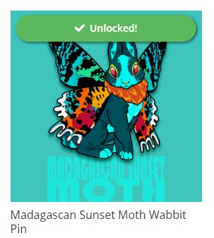 We UNLOCKED the Madagascan Sunset Moth!!