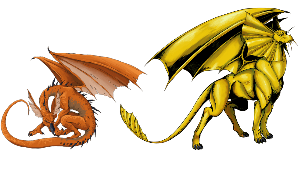 Orange and Gold Dragons