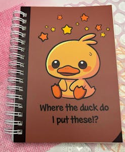 A) Reusable Stickerbook (Where the Duck?!)