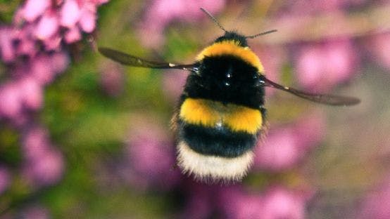 user avatar image for HypnoB