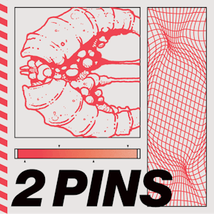 Two Pins