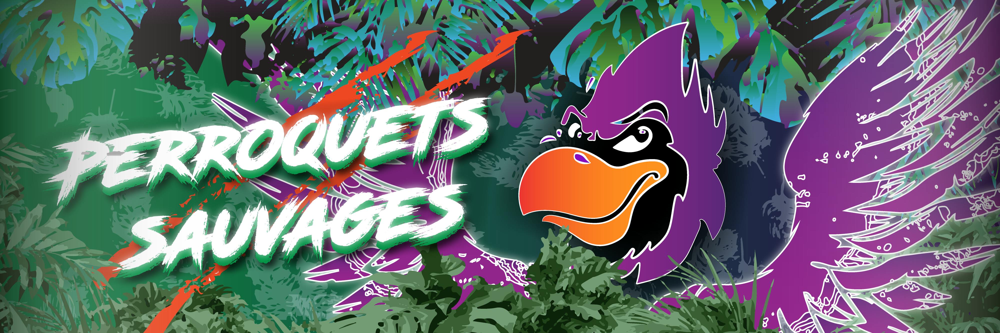 user avatar image for Adrien Lardenois