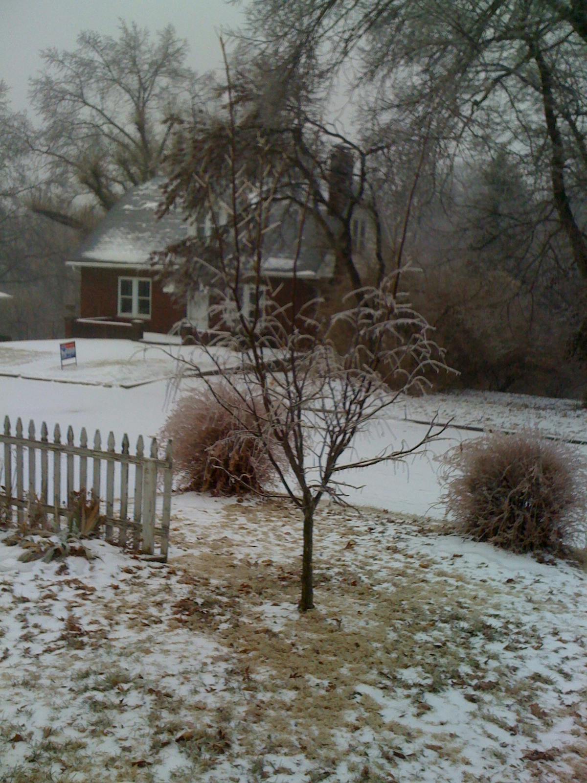 user avatar image for Dan B.