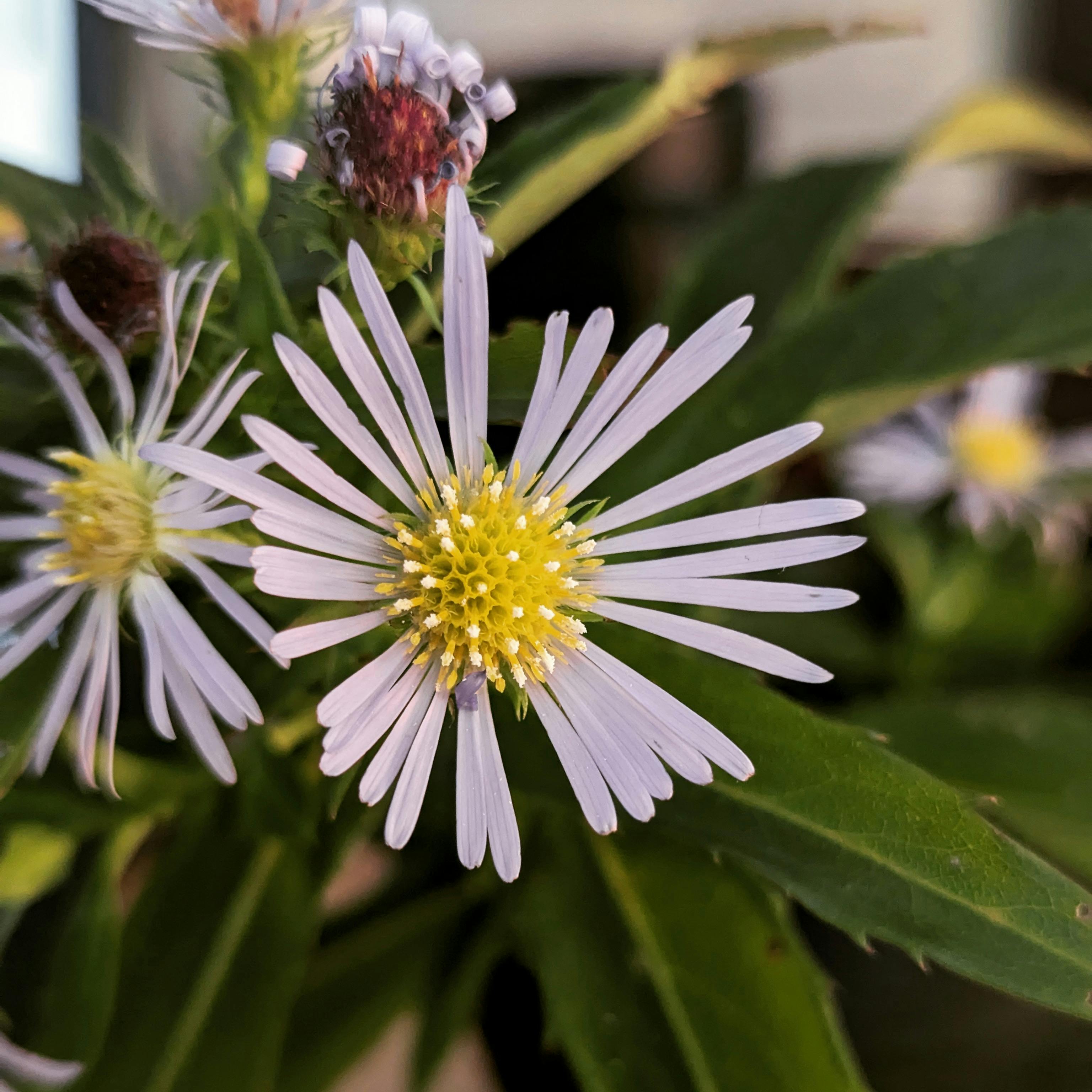 user avatar image for Sarah