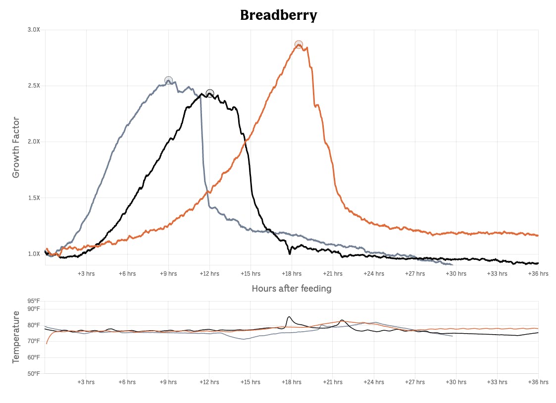 Raise a Smarter Starter with Breadwinner