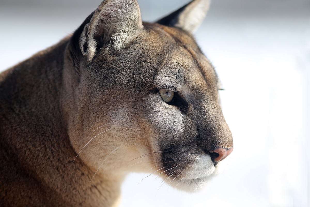 user avatar image for Anne O'Nymous