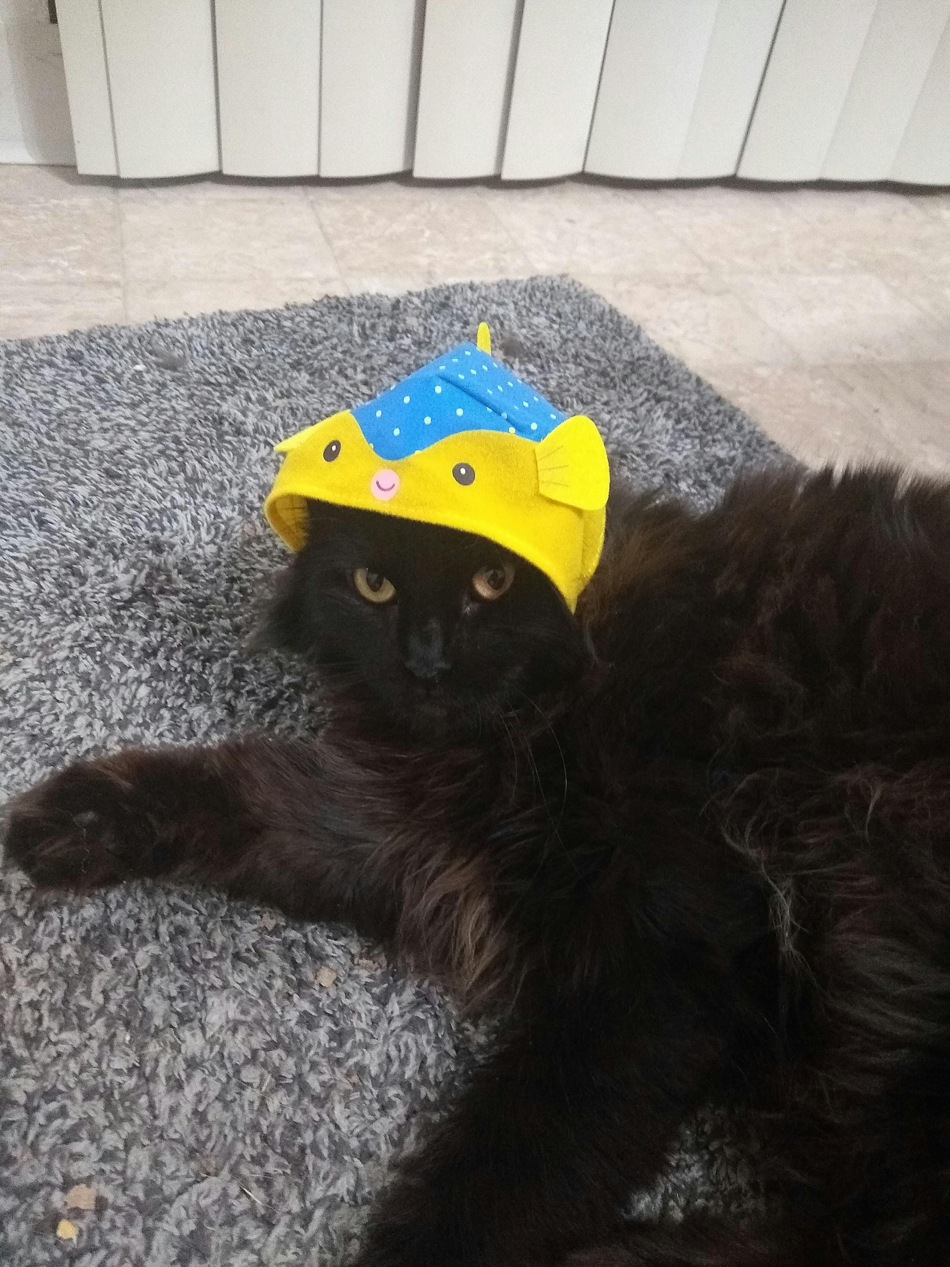 user avatar image for Jessica T