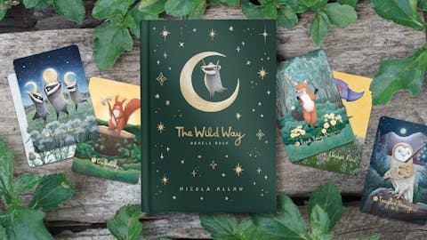 The Wild Way Oracle Book & Deck by Nicola Allan