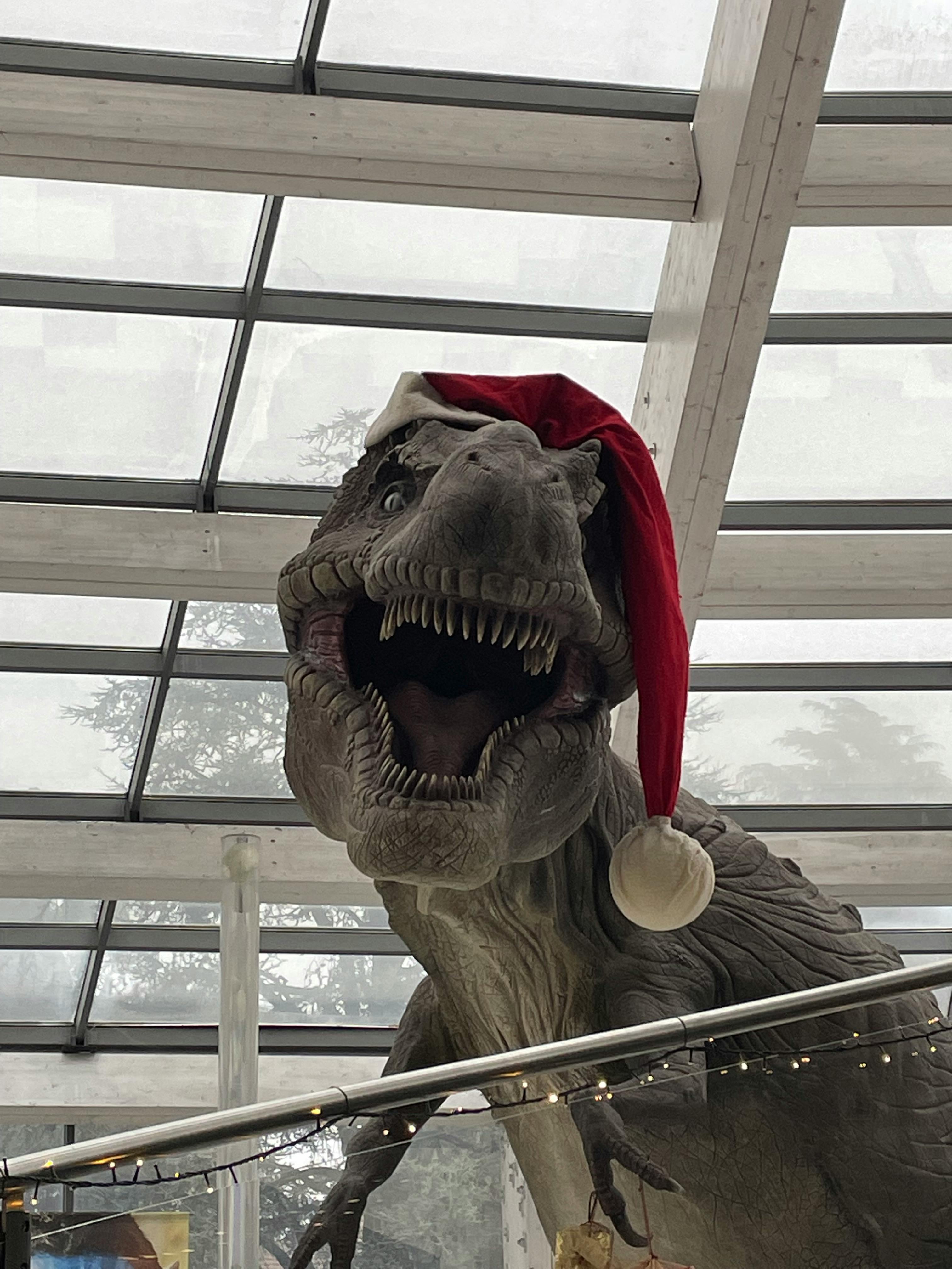 user avatar image for Gabro