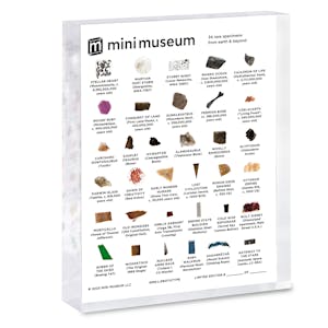 Mini Museum Fifth Edition Large - Early Bird