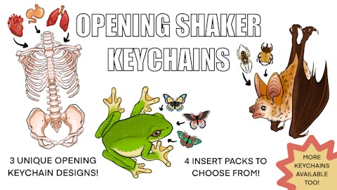Shaker Keychain Overhaul!