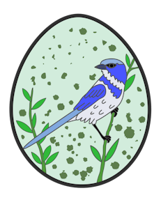 Florida Blue Scrub Jay sticker 