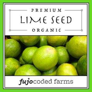 Lime Seed – Themed Sticker Set