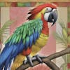 user avatar image for Anonymous Macaw #1739399