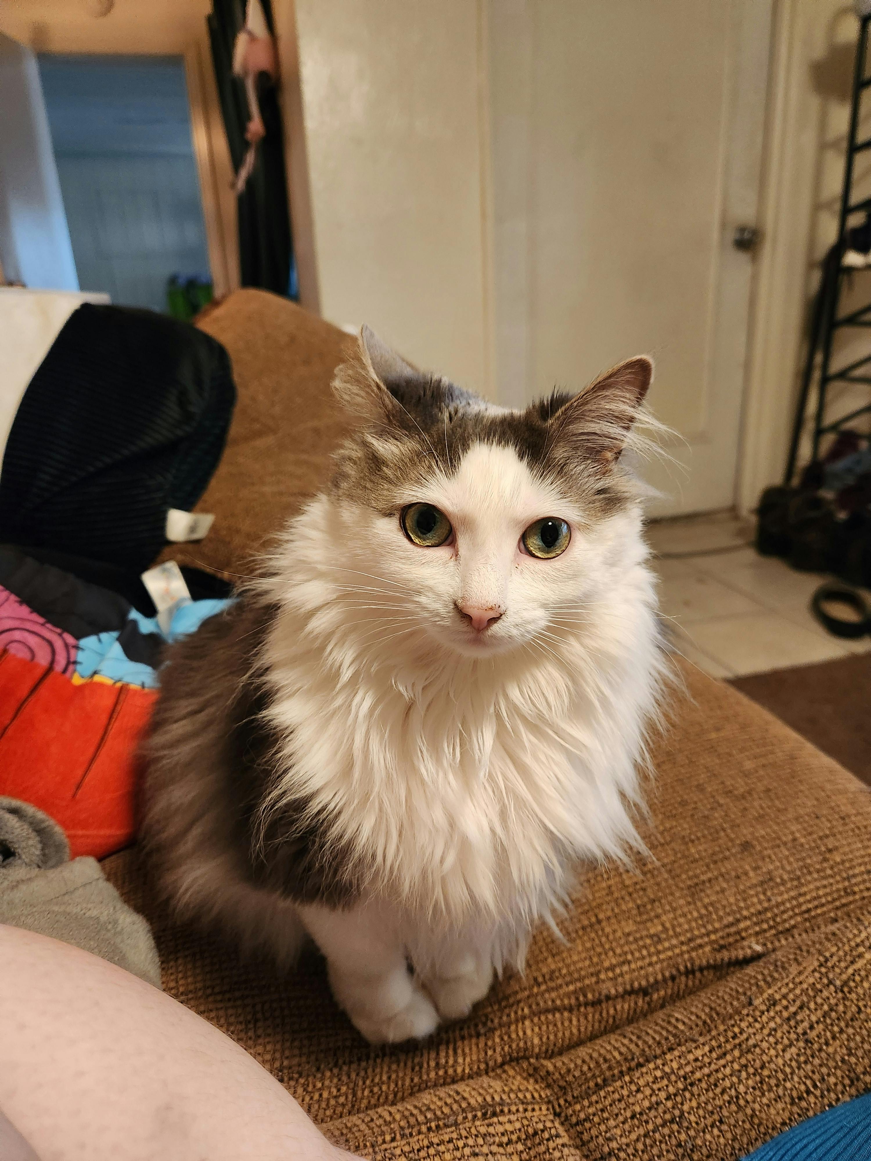 user avatar image for Ash