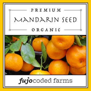 Mandarin Seed – Website Badges