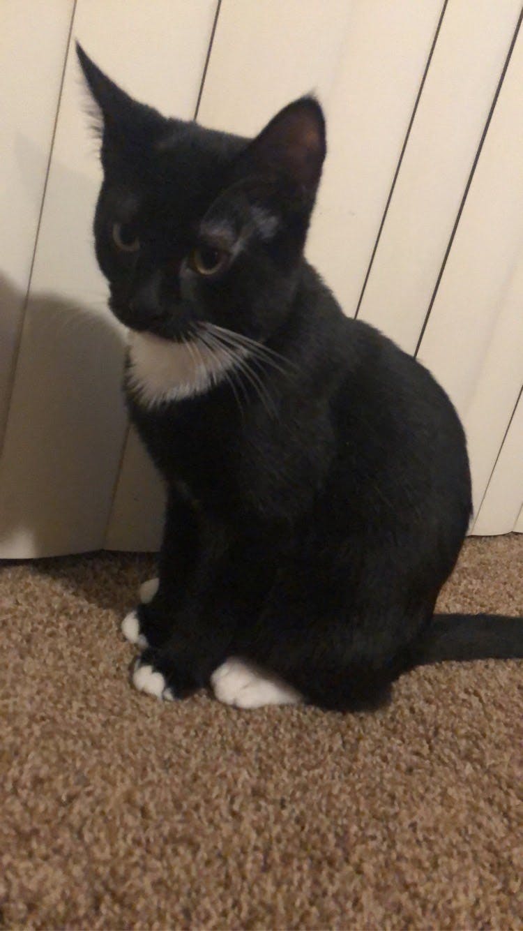 user avatar image for Carly