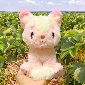 Strawberry Pawtee Kitten