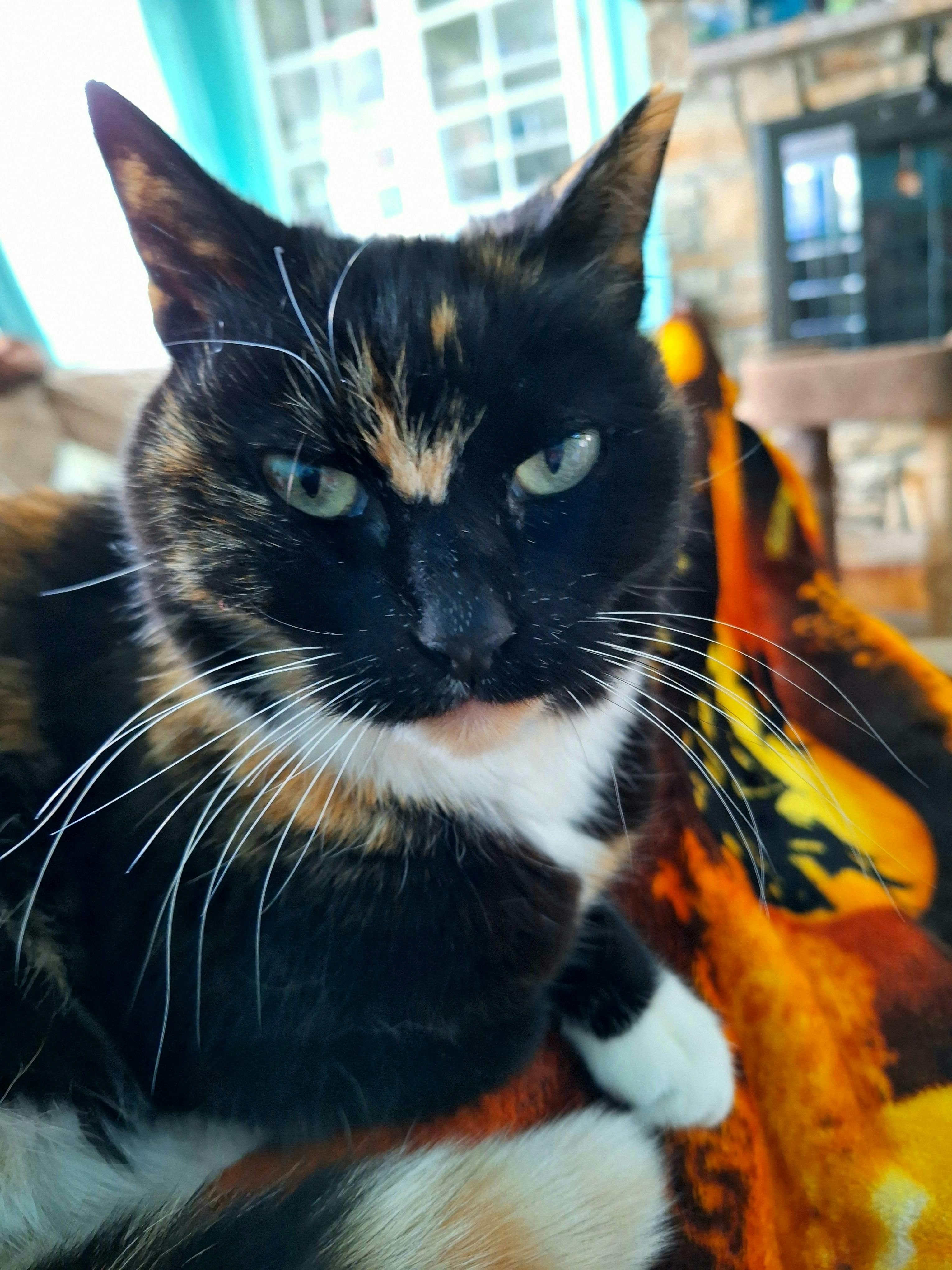 user avatar image for Jamie