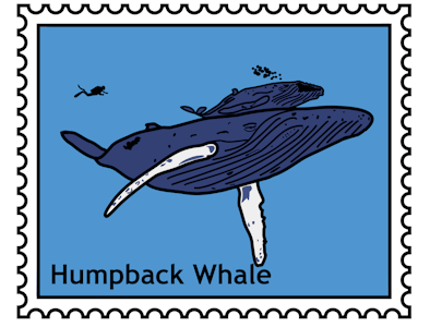 Humpback Whale sticker
