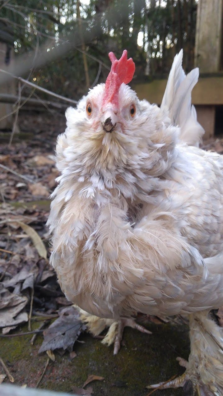 user avatar image for FistDeath