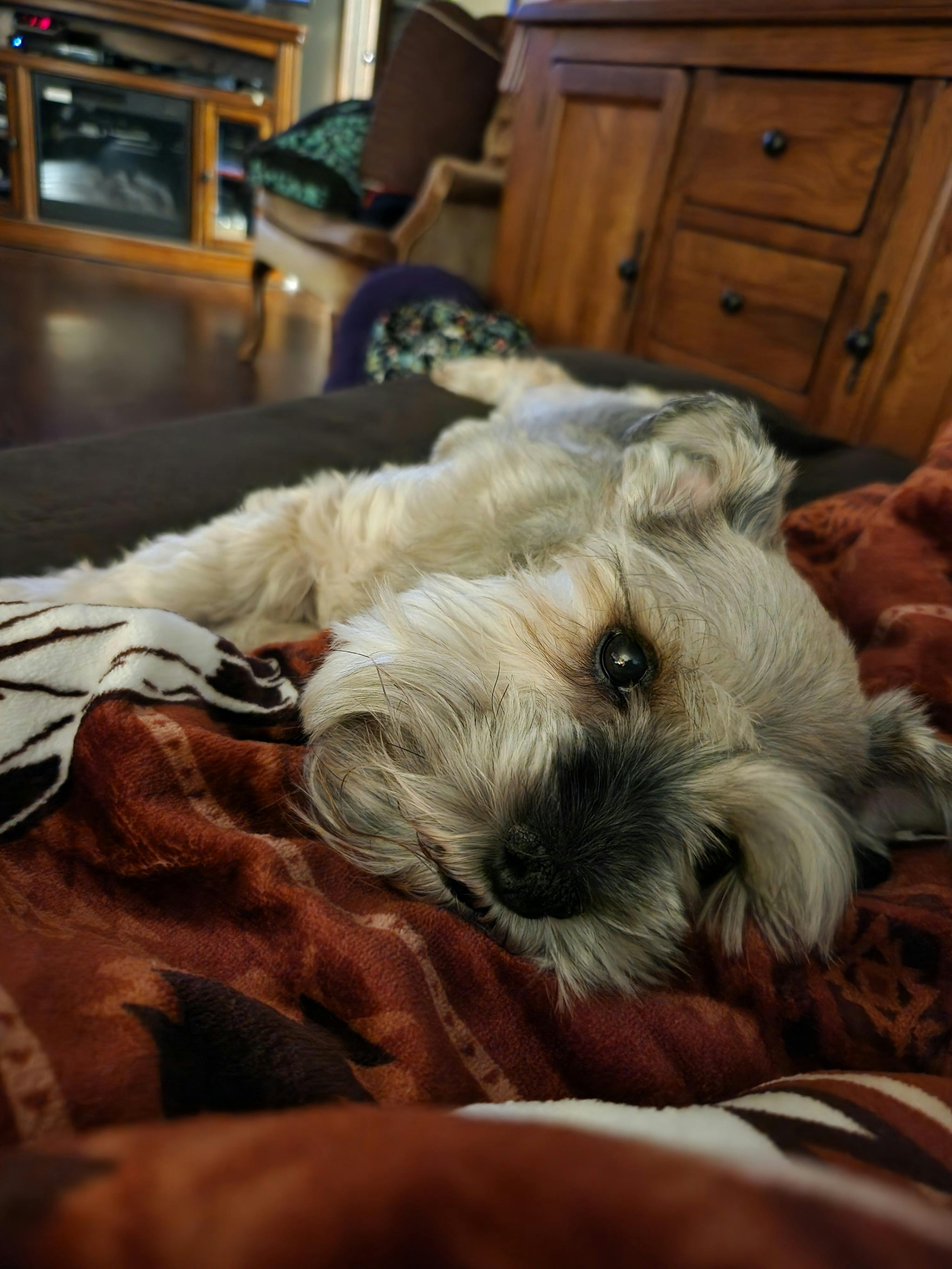 user avatar image for Brittney