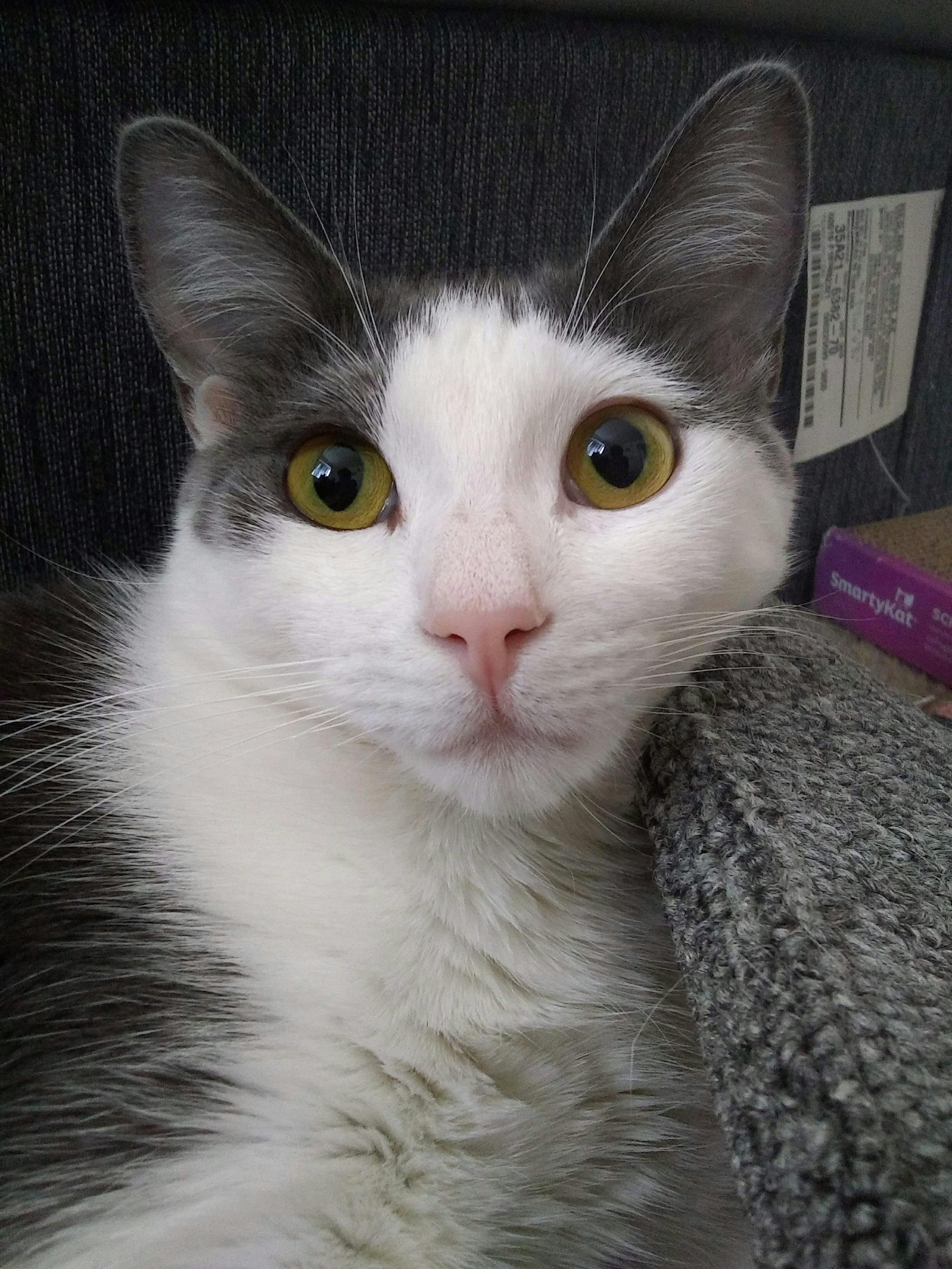 user avatar image for CeciV