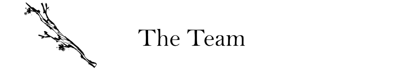 A drawing of a wand that appears to be dripping ink. Next to it is the heading text "The Team".