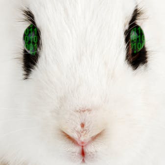 user avatar image for Darklight Interactive