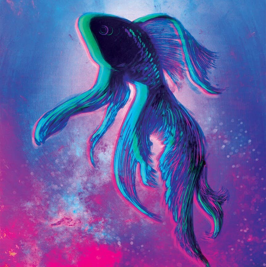 user avatar image for Jess | JBlake Design